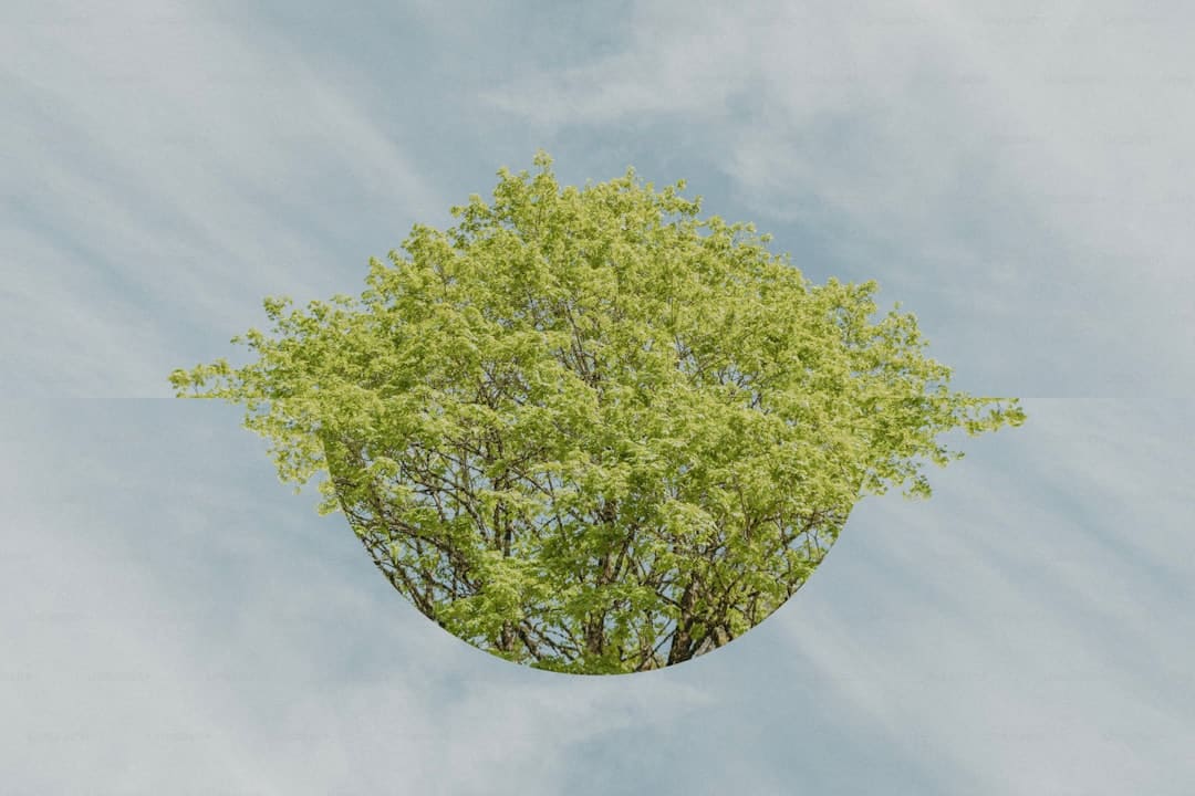 图知道｜2025年8月这些新规值得重视